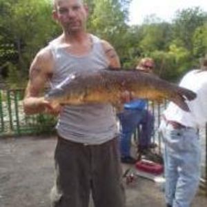 Meet your Posher, Dan